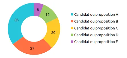 vote-majoritaire-1-tour-resultat.webp